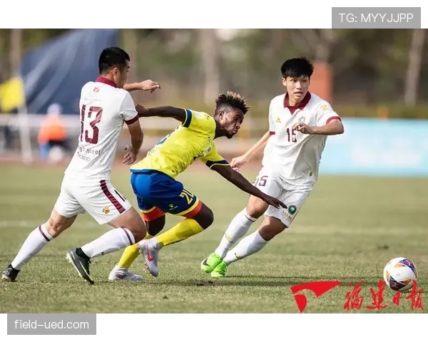 争球规则详解：裁判如何判定和执行争球程序